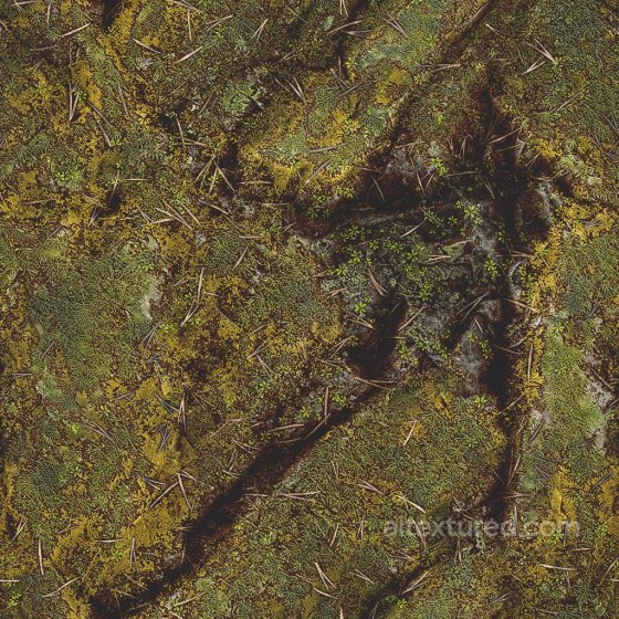Mossy Rock Texture | Free PBR Rock texture preview