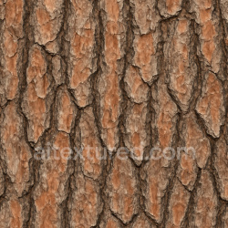 Natural Pine Bark Texture Seamless 1024X1024