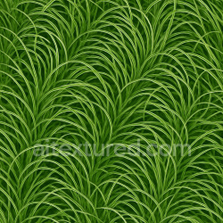 seamless Decorative Grass Seamless Texture texture 1024x1024 free download PBR