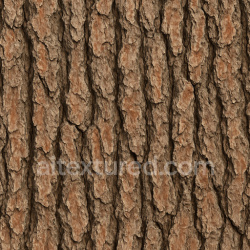seamless Rough Pine Bark Texture Seamless 1024X1024 texture 1024x1024 free download PBR