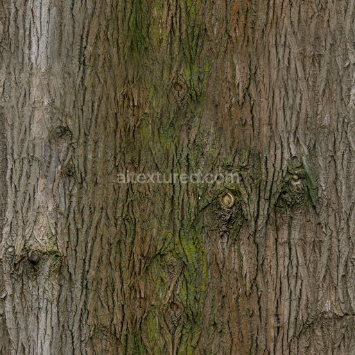 Bark Tree Forest — Bark Brown Bark Tree Forest Knots — PBR seamless 3D texture