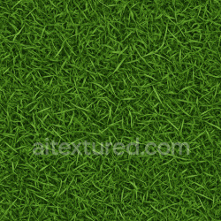 seamless Detailed Grass Seamless Texture texture 1024x1024 free download PBR