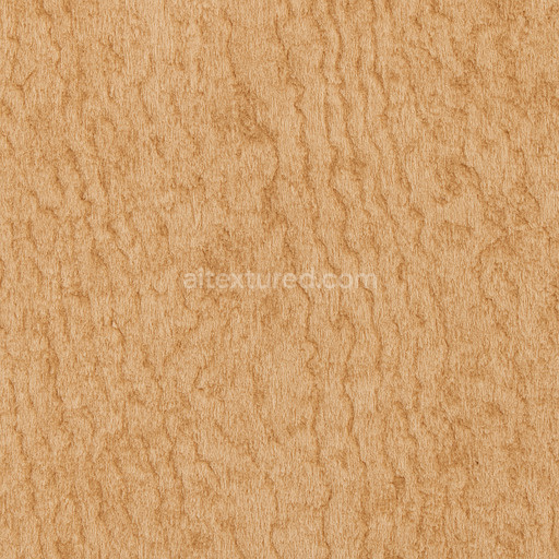 Coarse Maple Texture Seamless 1024X1024