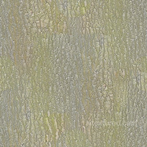 Seamless Bark 007 by Textures - PBR 3D Texture (8K ready) seamless Bark PBR texture
