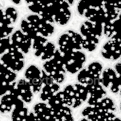seamless Transparent Splash Seamless Texture texture 1024x1024 free download PBR