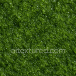 seamless Shiny Wet Moss Texture Seamless 1024X1024 texture 1024x1024 free download PBR