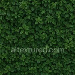 seamless Natural Dense Foliage Texture Seamless 1024X1024 texture 1024x1024 free download PBR