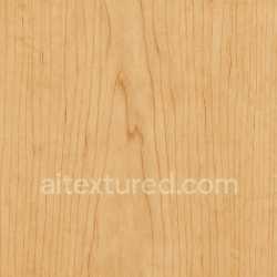 seamless High Resolution Maple Texture Seamless texture 8k free download PBR