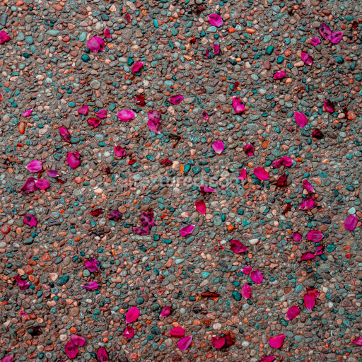 Preview — Detailed Pebble Ground Texture with Scattered Pink Petals for PBR