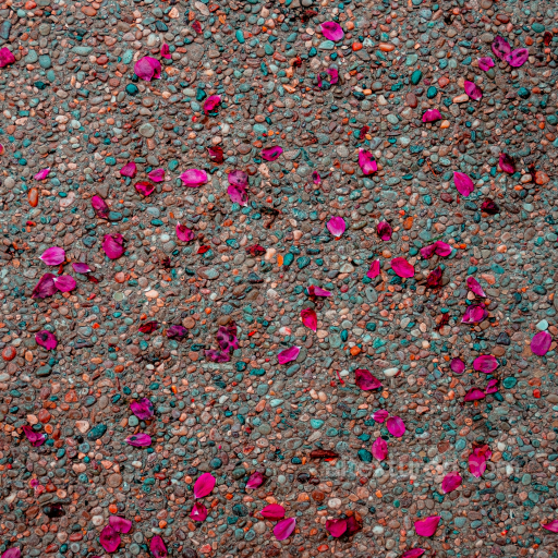Detailed Pebble Ground Texture with Scattered Pink Petals for PBR seamless Ground surface PBR texture