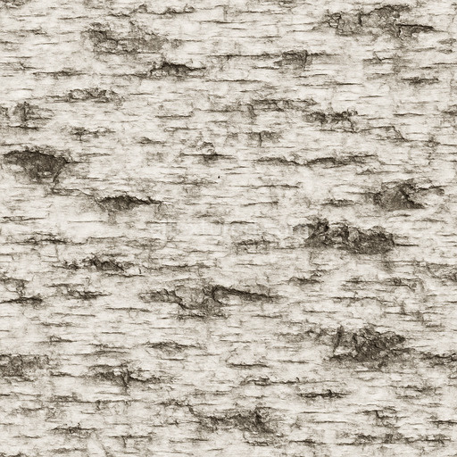Rough Birch Bark Texture Seamless 1024X1024