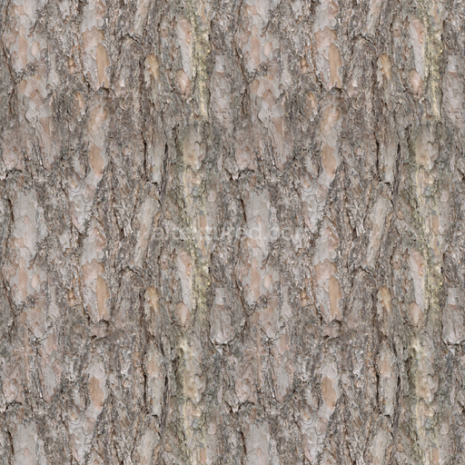 Seamless Bark 004 by Textures – PBR 3D Texture (8K ready)