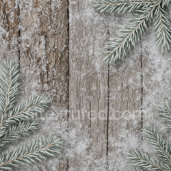 seamless Seamless 8k PBR 3d Texture of Snowy Wood Rustic Bark Winter Holiday Surface texture 8k free download PBR