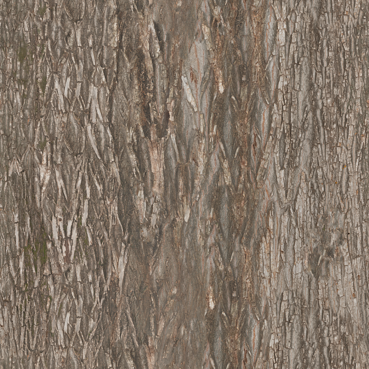 Tree Bark Wood - Bark Wood Forest Nature Tree Bark seamless PBR texture preview