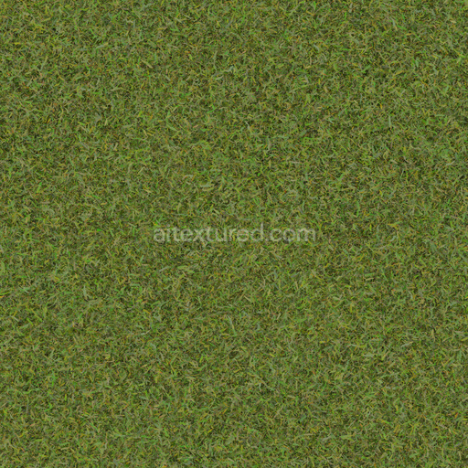 Seamless Grass 004 by Textures – PBR 3D Texture (8K ready)