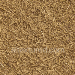 seamless Rough Straw Seamless Texture texture 1024x1024 free download PBR