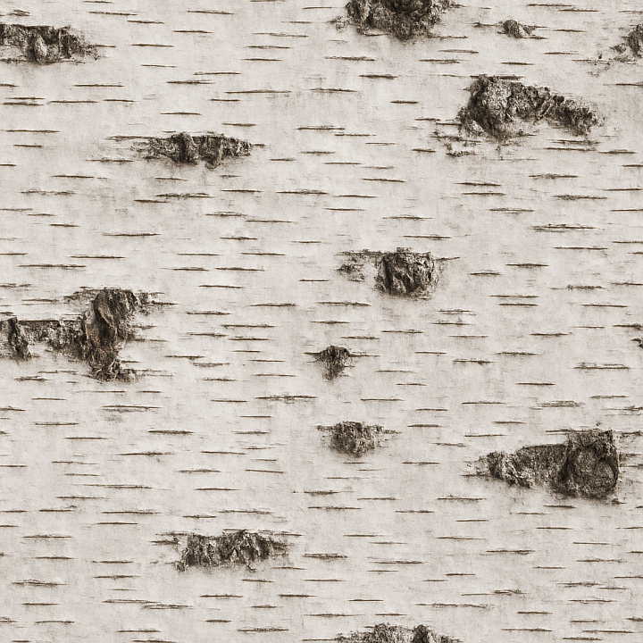 Birch Bark seamless PBR texture preview