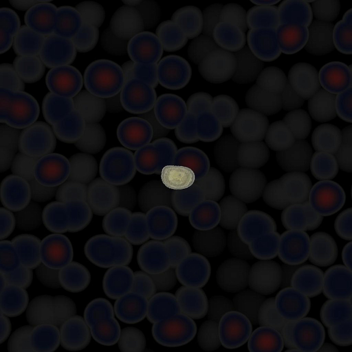 Blackberry seamless PBR texture preview