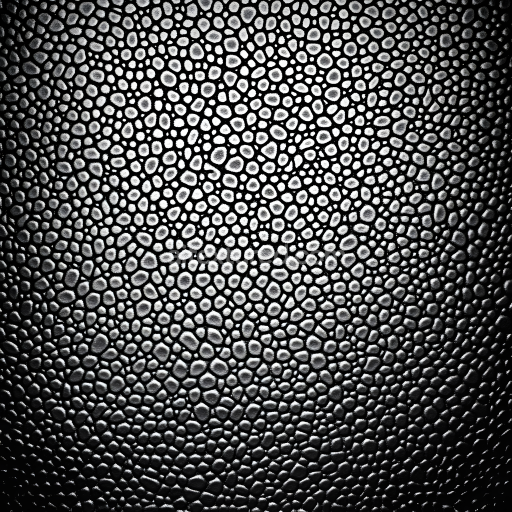 Seamless 3D Skin PBR Texture with Detailed Enlarged Pores and Matte Black Tone