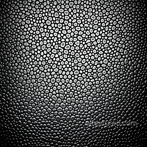 Skin PBR Texture with Detailed Enlarged Pores and Matte Black Tone seamless Skin PBR texture