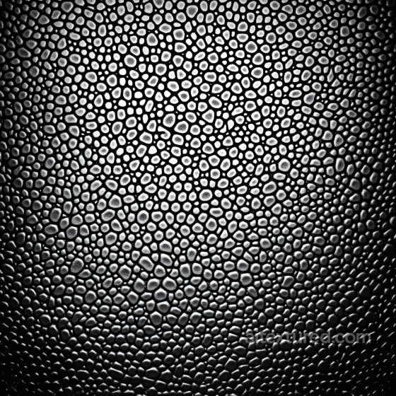 Skin PBR Texture with Detailed Enlarged Pores and Matte Black Tone Skin texture preview