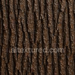 seamless Shiny Oak Bark Texture Seamless 1024X1024 texture 1024x1024 free download PBR