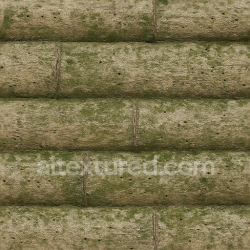 seamless Seamless 3d texture pbr 8k bamboo bark with bamboo moss and bamboo insect marks on bamboo natural surface texture 8k free download PBR