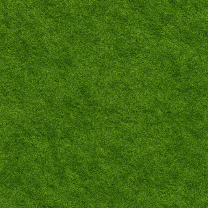 Smooth Green Moss seamless PBR texture preview