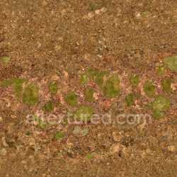 seamless Pathway Seamless Pbr Texture Natural Earth Ground texture 8k free download PBR
