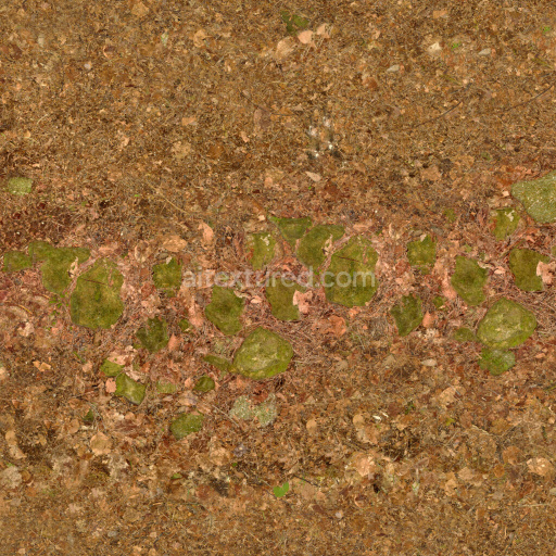 Pathway Seamless Pbr Texture Natural Earth Ground