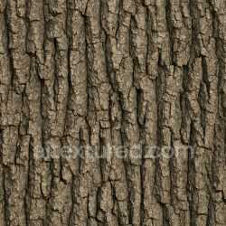 seamless Aged Oak Bark Texture Seamless texture 8k free download PBR