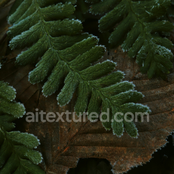 seamless High-Resolution Frosted Ground Texture with Green Fern and Brown Leaves texture 8k free download PBR