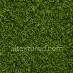 seamless High Resolution Wet Moss Texture Seamless texture 8k free download PBR