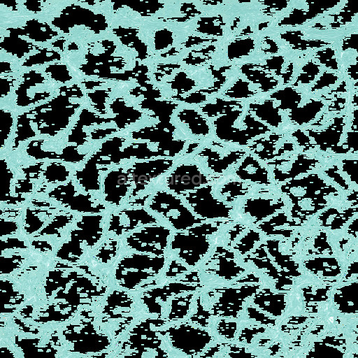 Transparent Sea Seamless Texture