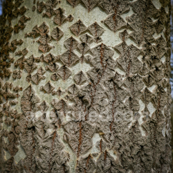 seamless Rustic Cracked Plaster Texture with High Relief and Weathered Details texture 8k free download PBR