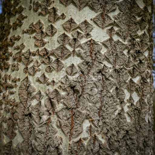 Preview — Rustic Cracked Plaster Texture with High Relief and Weathered Details