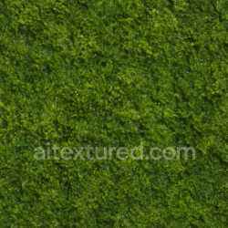 seamless Seamless Wet Moss Texture Seamless texture 8k free download PBR