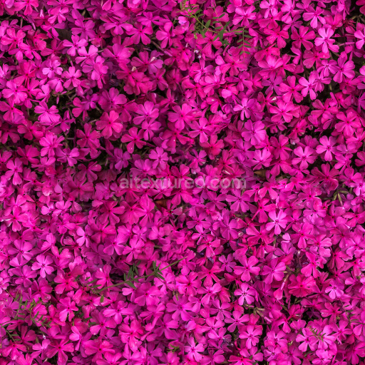 Seamless PBR Flower Pattern Texture