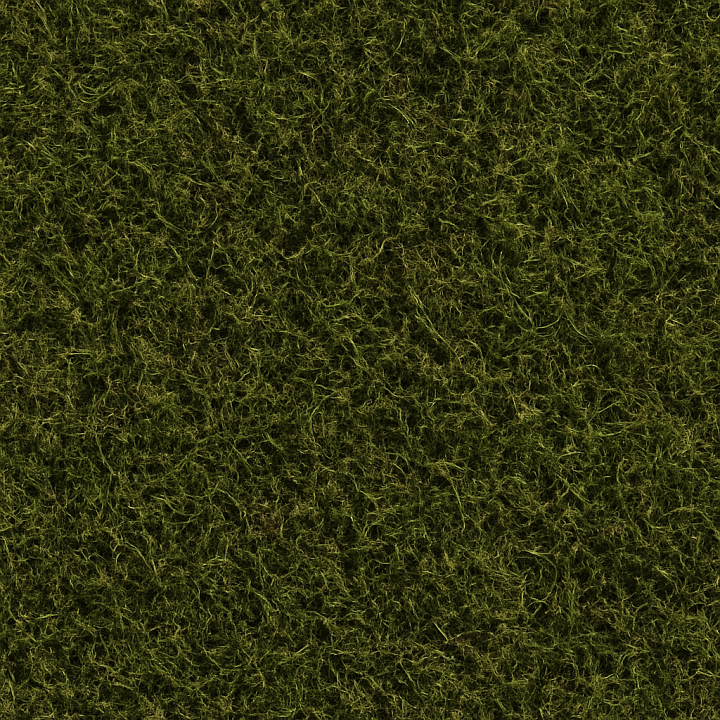 Coarse Forest Moss seamless PBR texture preview