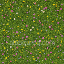 seamless Detailed Meadow Texture texture 1024x1024 free download PBR