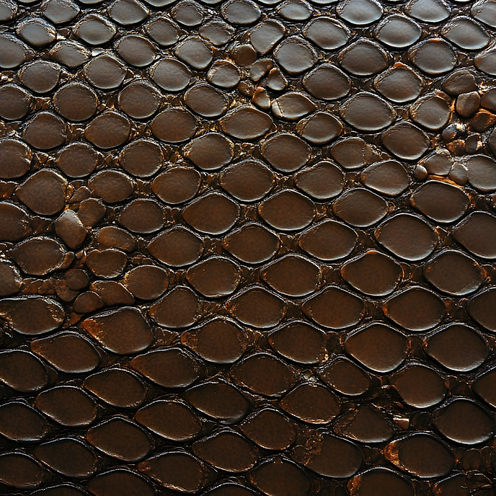 Reptile Skin Featuring Glossy Dark Overlapping Scales seamless PBR texture preview