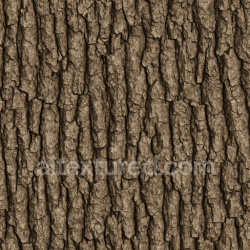 seamless Detailed Oak Bark Texture Seamless 1024X1024 texture 1024x1024 free download PBR