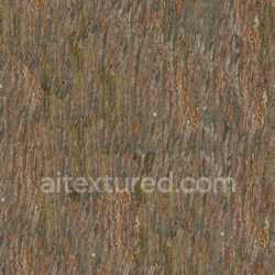 seamless Bark Wood Texture Seamless Natural Earthy Pbr texture 8k free download PBR
