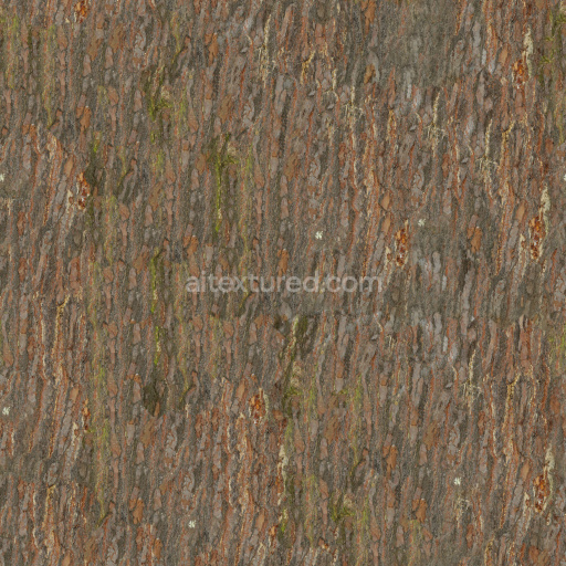 Bark Wood Texture Seamless Natural Earthy Pbr