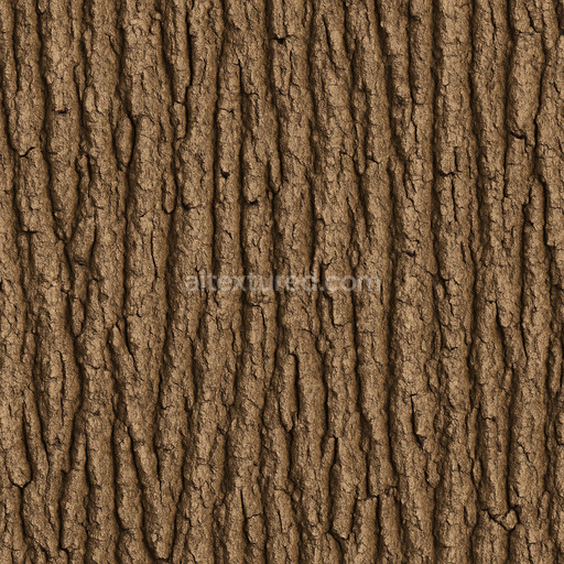 Smooth Oak Bark Texture Seamless 1024X1024