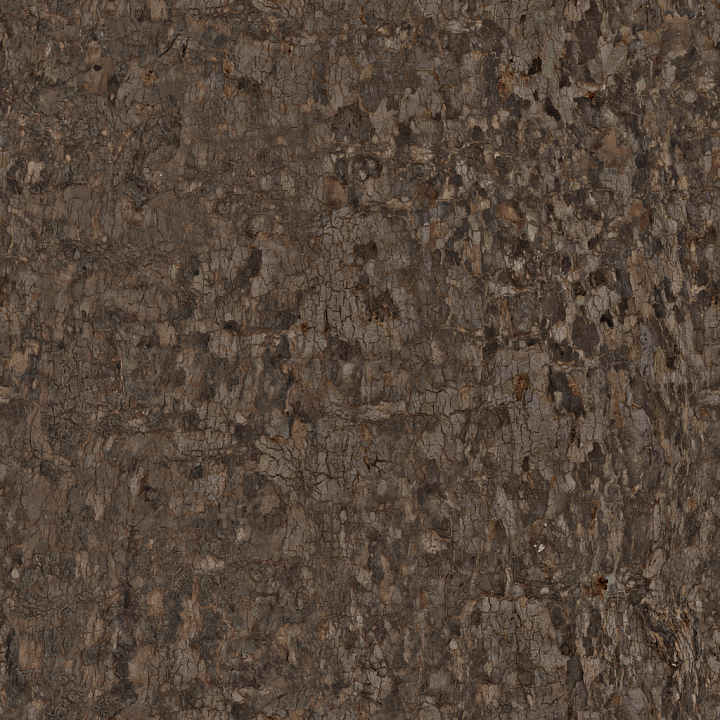 Bark Platanus Bark seamless PBR texture preview