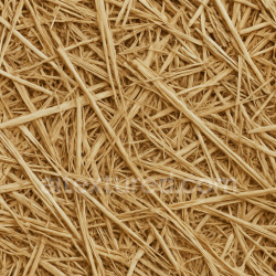 seamless Realistic Straw Seamless Texture texture 1024x1024 free download PBR