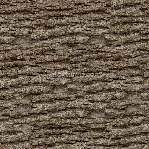 Seamless Bark 5 by Share Textures – PBR 3D Texture (8K ready)