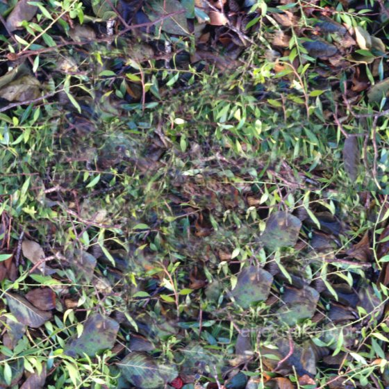 High-Quality Seamless Grass Texture Ground surface texture preview
