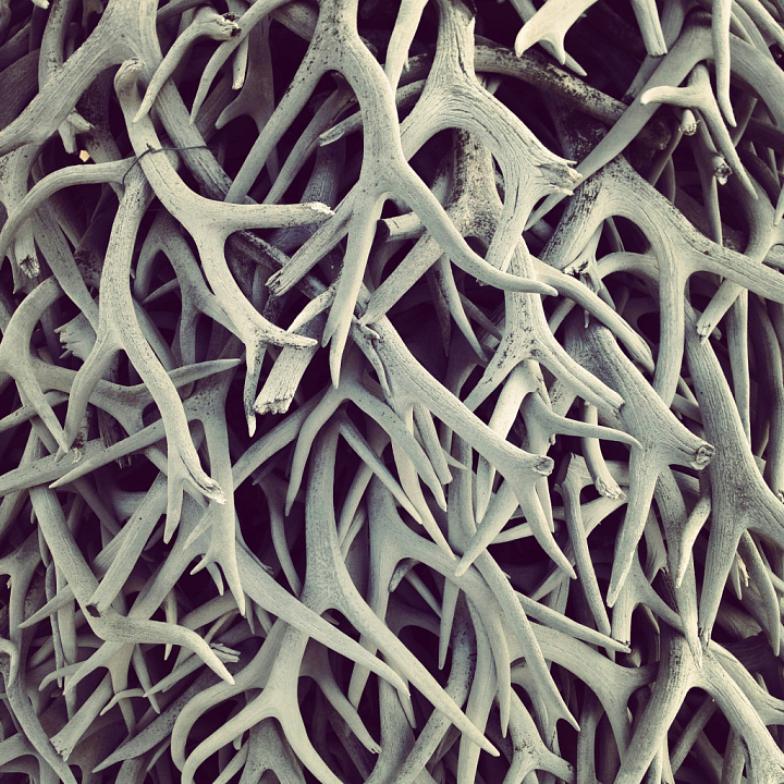 Woodland Antler Featuring Weathered Natural Surfaces Wood seamless PBR texture preview